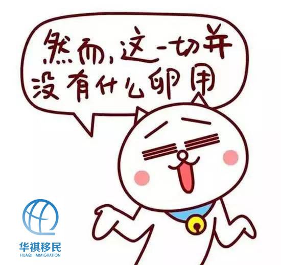 香港政府規定是規定，然并卵