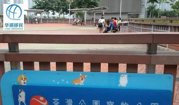 香港的很多公共場所對寵物開放